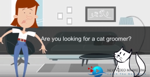 Cat Grooming Commercial