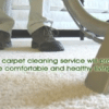 carpet cleaner video marketing