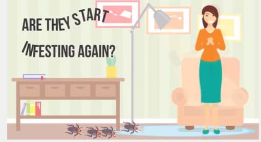 pest control animated